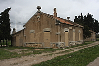IMG_2987.JPG