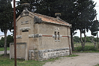 IMG_2989.JPG
