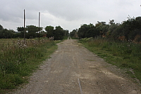 IMG_2991.JPG