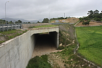 IMG_3006.JPG