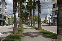 IMG_3035.JPG