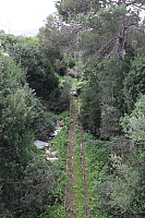 IMG_3044.JPG