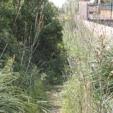 <font size="2"> Manche Finca war mehr oder weniger auf die Trasse gebaut.