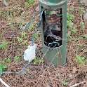 <font size="2.5"> Als gelernter Elektriker kann ich bei solchen Bildern immer nur den Mut bewundern, derart gefährliche Installation überhaupt in Betrieb zu nehmen. Oder regnet es in der Gegend nie?
