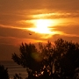 <font size="2.5"> Mallorca 2011