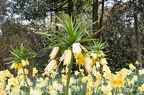 Frühling im Arboretum Ellerhoop