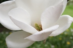 IMG 7751 (7684 Besuche) IMG 7751